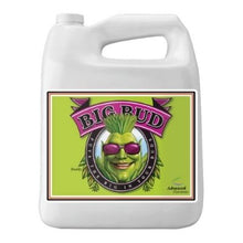 Load image into Gallery viewer, Advanced Nutrients Big Bud Liquid